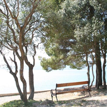 Apartmani Andreja Pinezići Εξωτερικό φωτογραφία